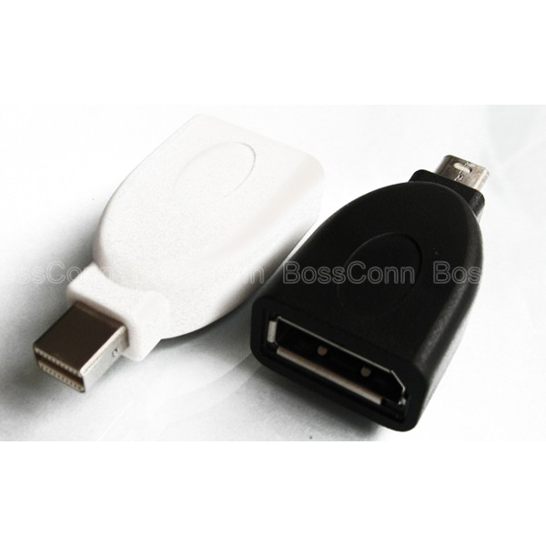 Mini Displayport to Displayport Adapter