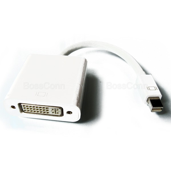 Mini Displayport to DVI Female Adapter